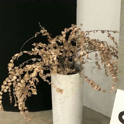 Furry二次元拟人美学FurryQQ群